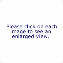 Please click on each image below to see an enlarged view.
